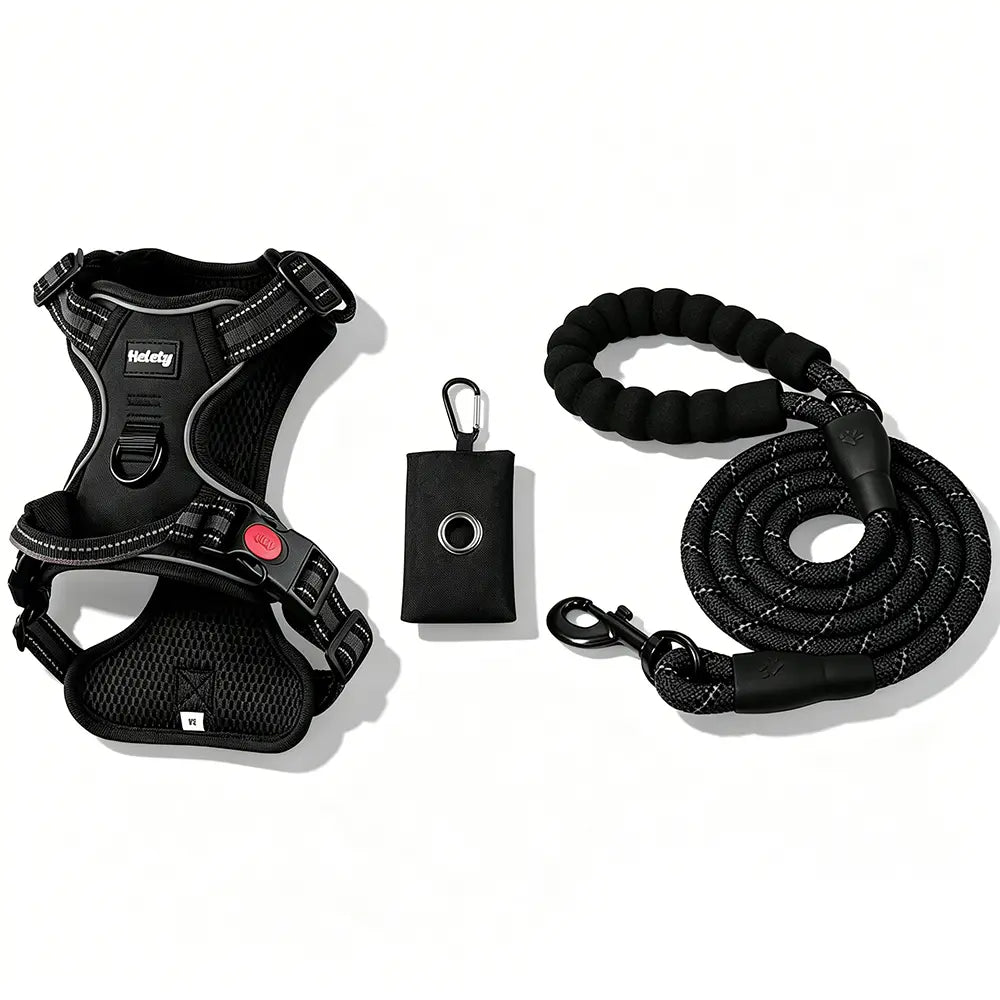 HELETY Purple 3-in-1 Adjustable No-Pull Dog Vest Harness and Leash Set, Size S-XL, Dual D-Ring Clips, 360° Reflective Design, Padded Chest, Oxford Fabric, Night Safety Features, Built-in Poop Bag Holder, Tangle-Free Bungee Strap for Running