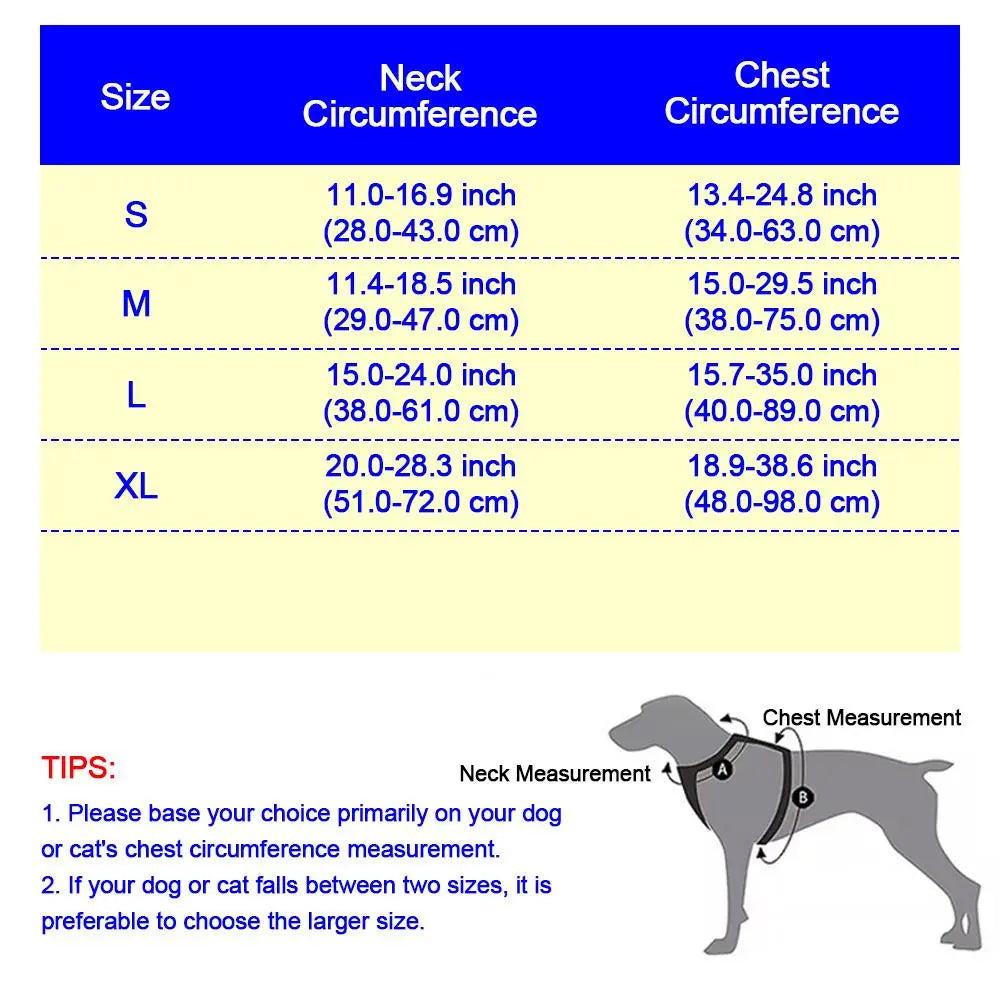 HELETY Purple 3-in-1 Adjustable No-Pull Dog Vest Harness and Leash Set, Size S-XL, Dual D-Ring Clips, 360° Reflective Design, Padded Chest, Oxford Fabric, Night Safety Features, Built-in Poop Bag Holder, Tangle-Free Bungee Strap for Running