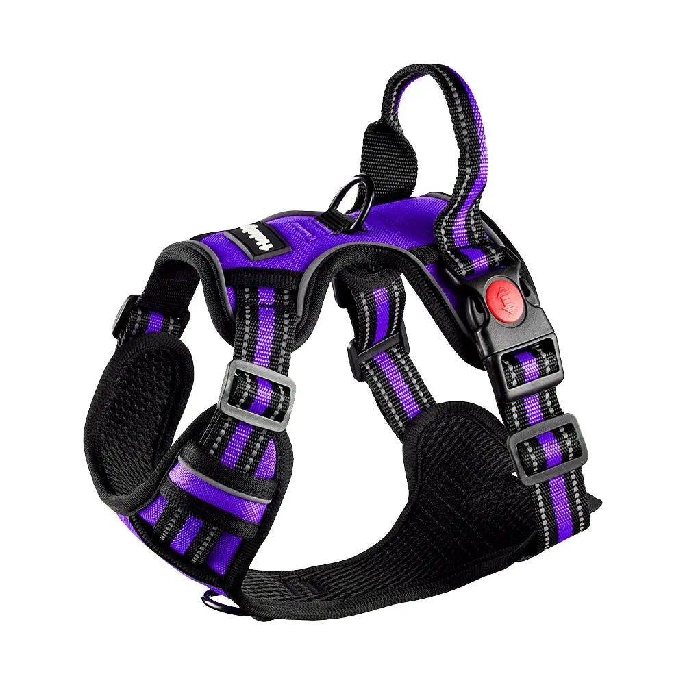 HELETY Purple 3-in-1 Adjustable No-Pull Dog Vest Harness and Leash Set, Size S-XL, Dual D-Ring Clips, 360° Reflective Design, Padded Chest, Oxford Fabric, Night Safety Features, Built-in Poop Bag Holder, Tangle-Free Bungee Strap for Running