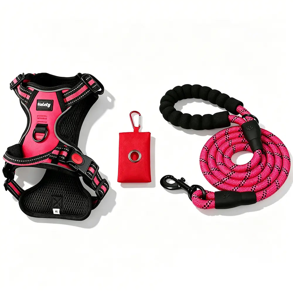 HELETY Purple 3-in-1 Adjustable No-Pull Dog Vest Harness and Leash Set, Size S-XL, Dual D-Ring Clips, 360° Reflective Design, Padded Chest, Oxford Fabric, Night Safety Features, Built-in Poop Bag Holder, Tangle-Free Bungee Strap for Running