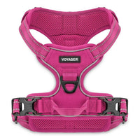 Dual-Clip No-Pull Dog Harness