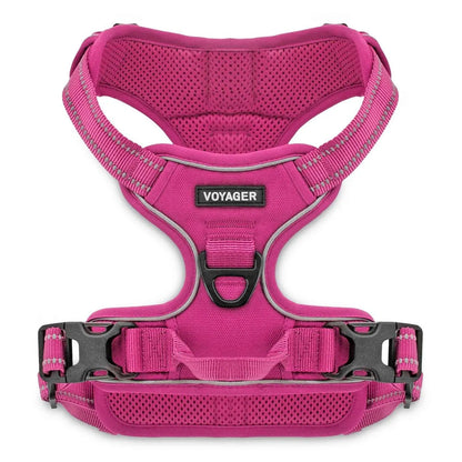 Valentine Dual-Attachment Dog Harness