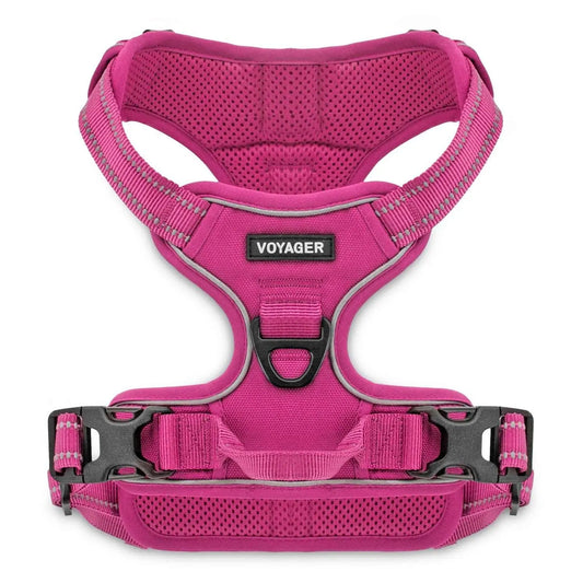 Valentine Dual-Attachment Dog Harness