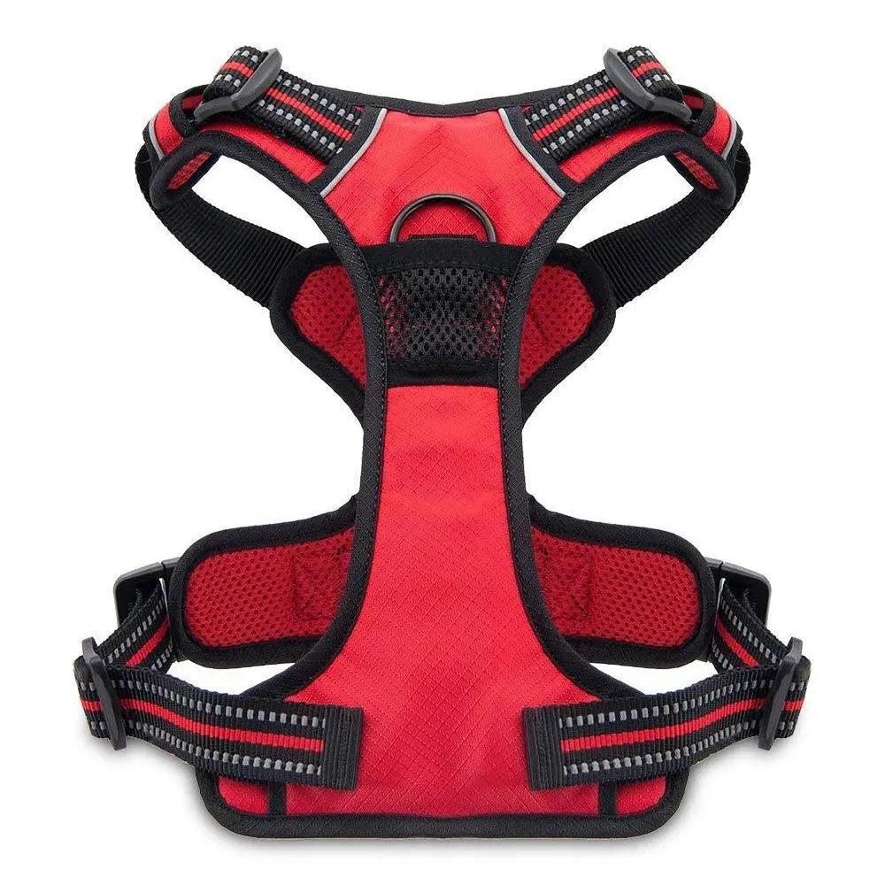 Valentine Dual-Attachment Dog Harness