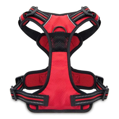 Valentine Dual-Attachment Dog Harness