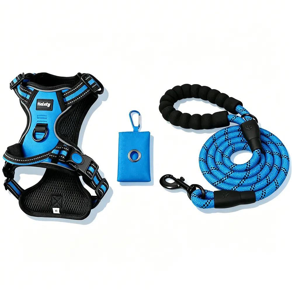 HELETY Purple 3-in-1 Adjustable No-Pull Dog Vest Harness and Leash Set, Size S-XL, Dual D-Ring Clips, 360° Reflective Design, Padded Chest, Oxford Fabric, Night Safety Features, Built-in Poop Bag Holder, Tangle-Free Bungee Strap for Running